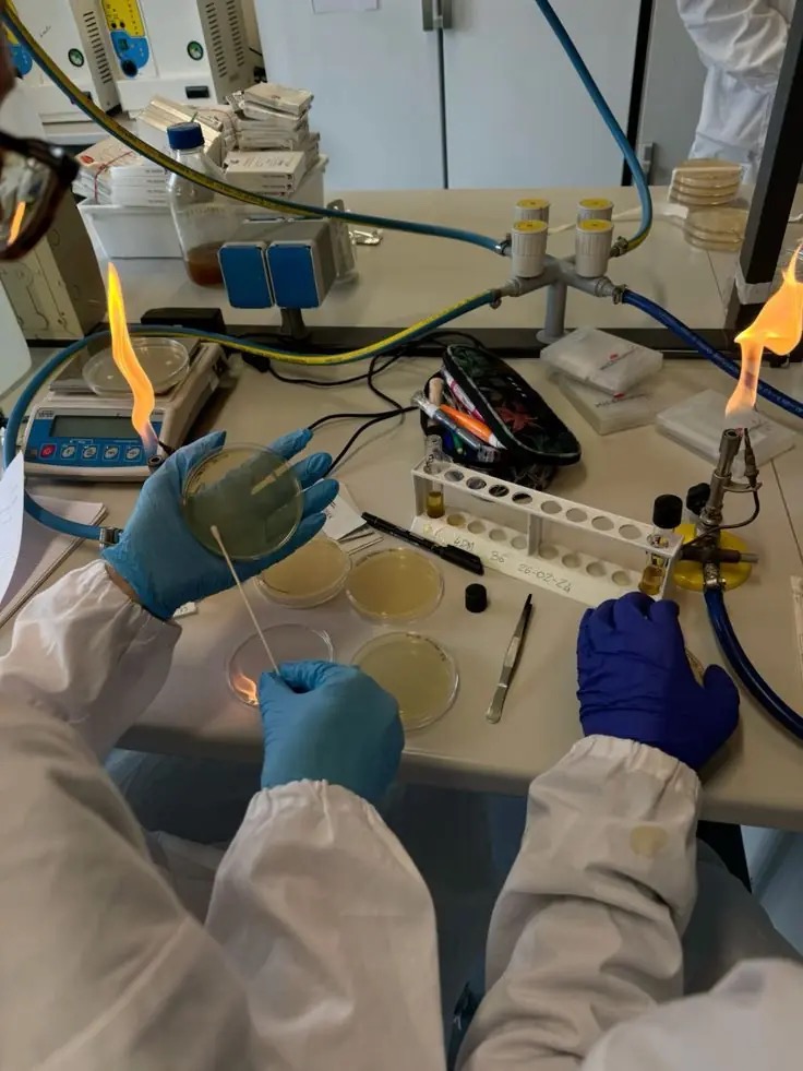 Lab