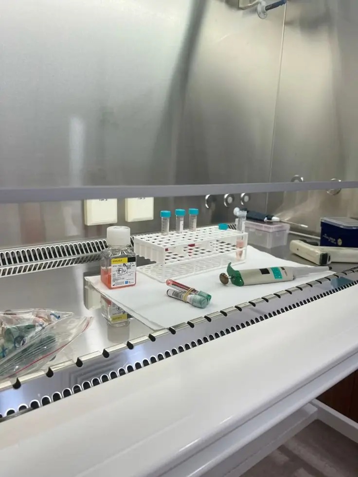 Lab