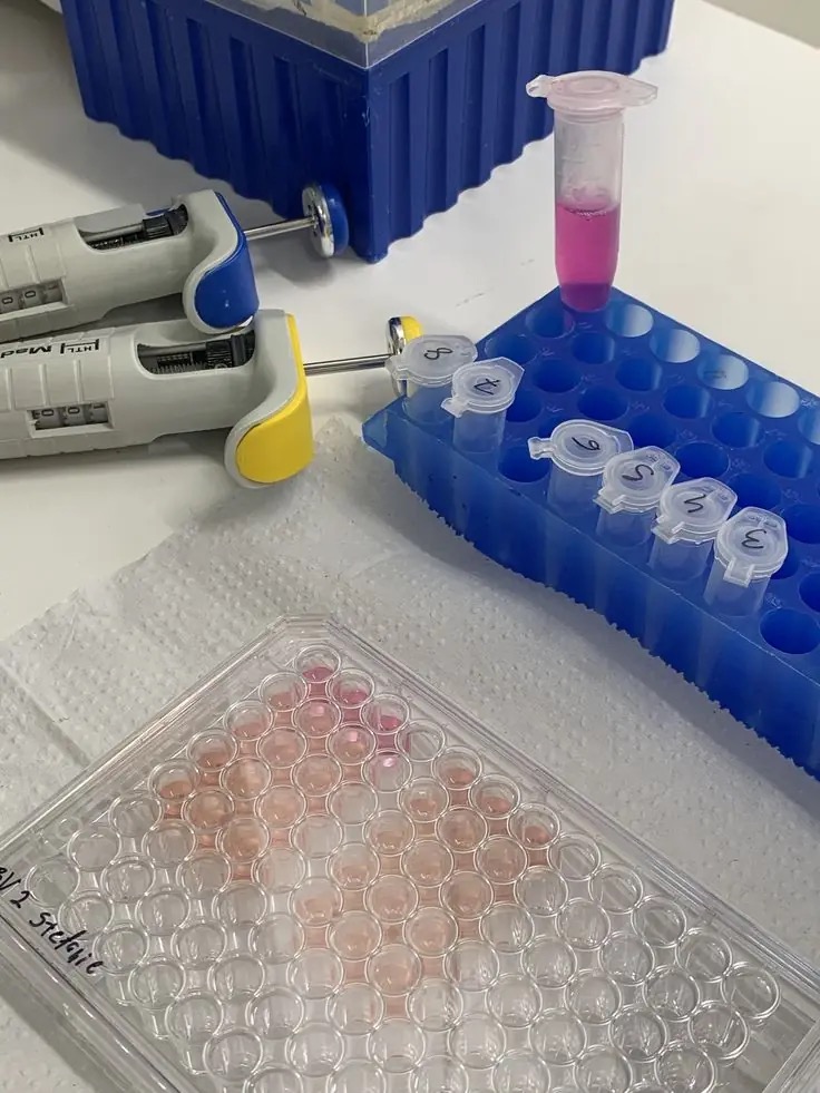 Lab