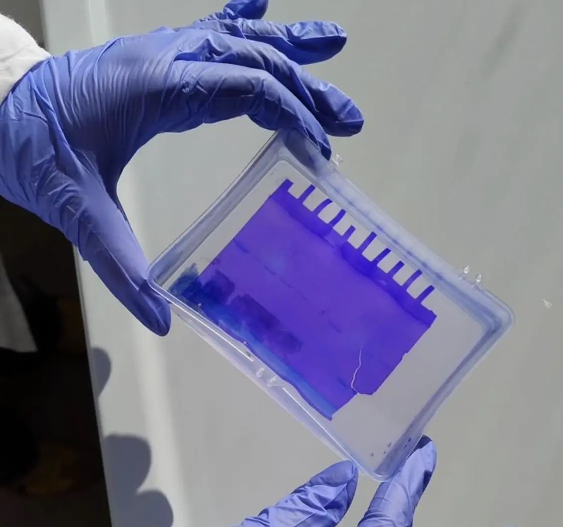 Lab