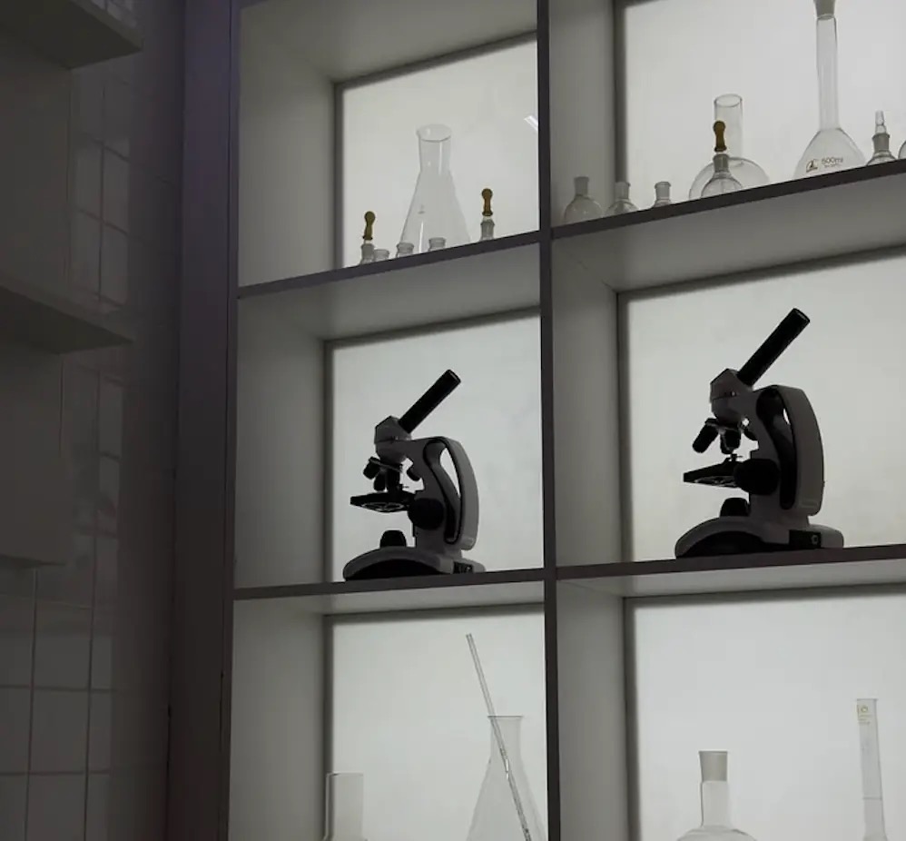 Lab