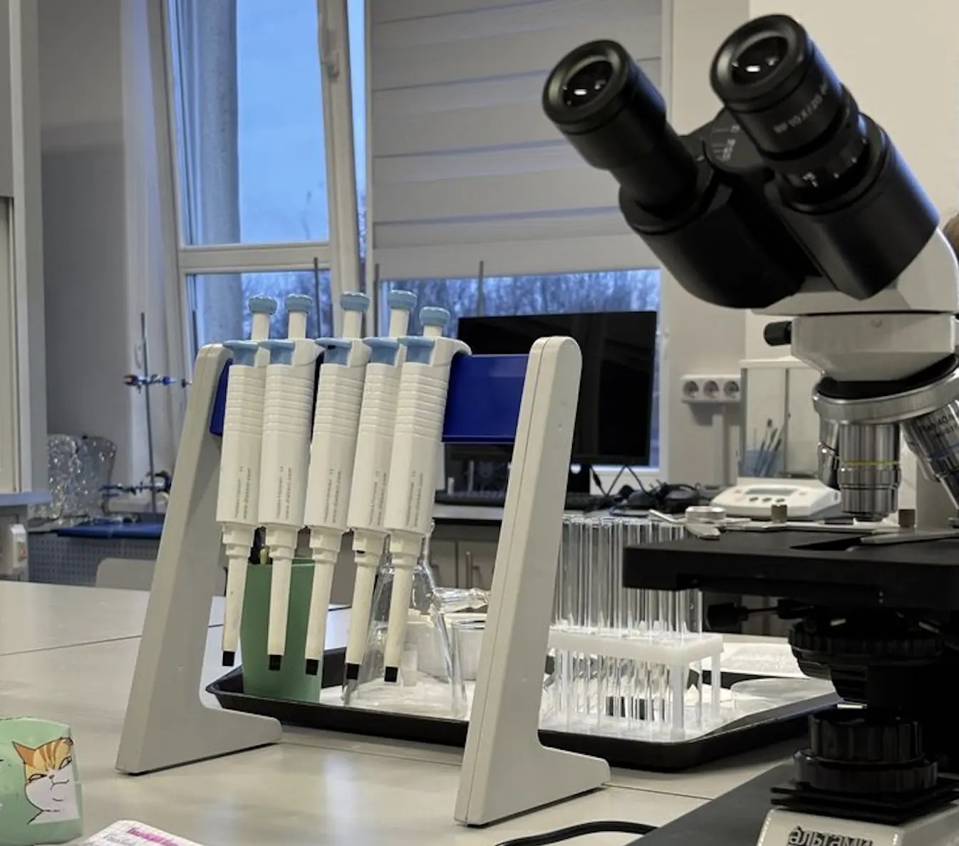 Lab
